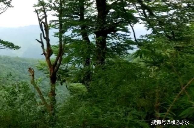 安全的港口