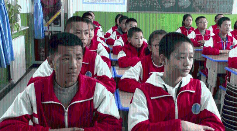 十三只可怜的猫猫惨遭虐杀，可恨的是凶手被抓后竟说他自己无罪