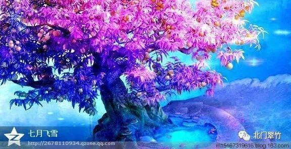 病菌猎人