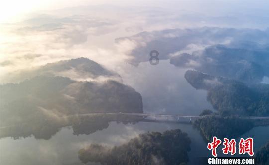 以撒的结合：胎衣